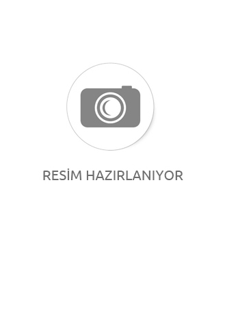 Kardan Adamın Külleri 2 - Ayaz